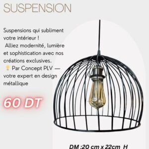 Suspension luminaire