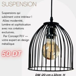 Suspension luminaire
