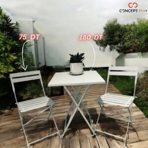 Table et 2 chaises de jardin